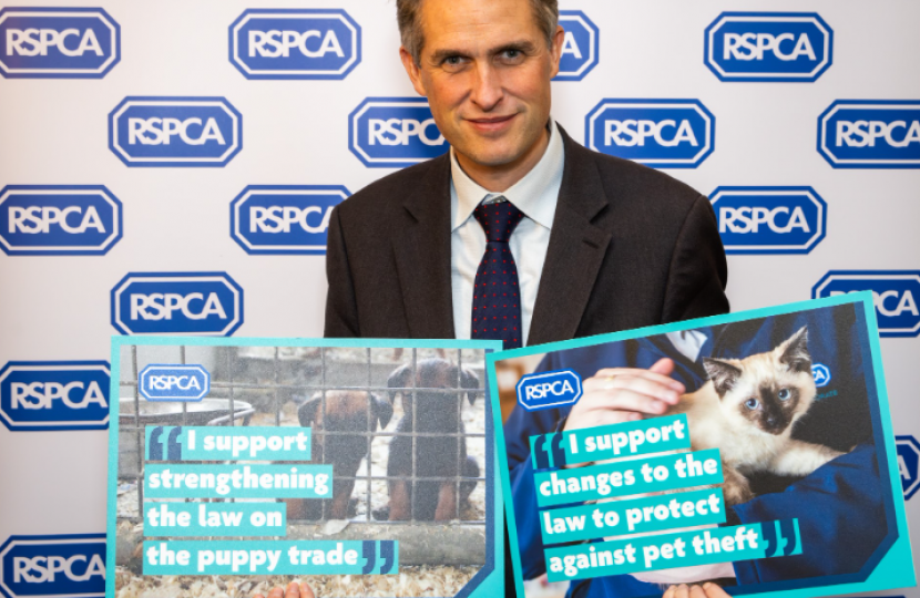 RSPCA