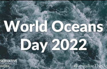 World Oceans Day